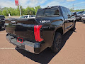 2025 Toyota Tundra 4WD 1794 Edition 4WD