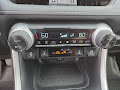 2024 Toyota RAV4 XLE Premium AWD