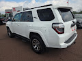2023 Toyota 4Runner TRD Off Road Premium 4WD