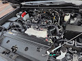 2025 Toyota 4Runner SR5 4WD