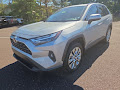 2025 Toyota RAV4 XLE Premium AWD