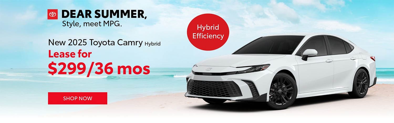 Peruzzi Toyota